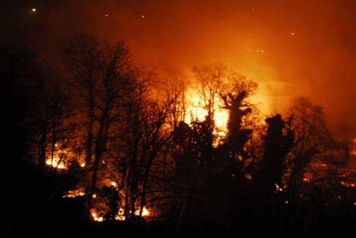 Incendio in Val Graveglia, in fiamme due ettari di bosco, forse è doloso