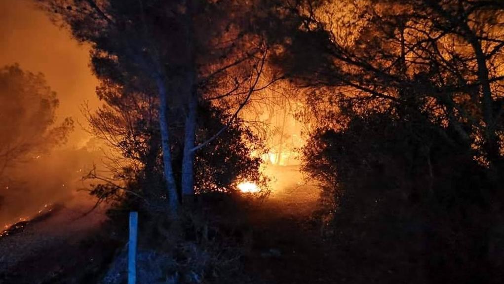 Altra notte, altro incendio, rogo nei boschi di Campo Ligure  