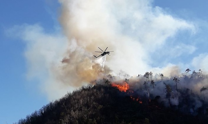 Incendio a Cogoleto, continuano a bruciare i boschi di Lerca