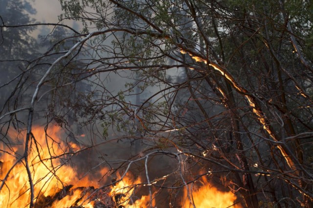 Un altro incendio in Liguria, a fuoco i boschi nell'entroterra di Chiavari