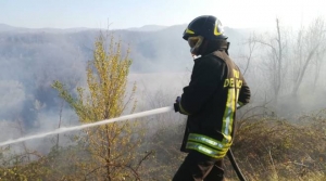 Bruciano i boschi di S. Quirico: intervento di pompieri e volontari