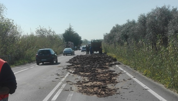 Trattore perde letame sulla strada: traffico in tilt a Sarzana