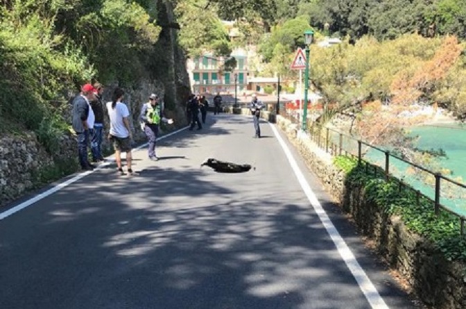 Portofino, nuova voragine nell'asfalto: strada chiusa
