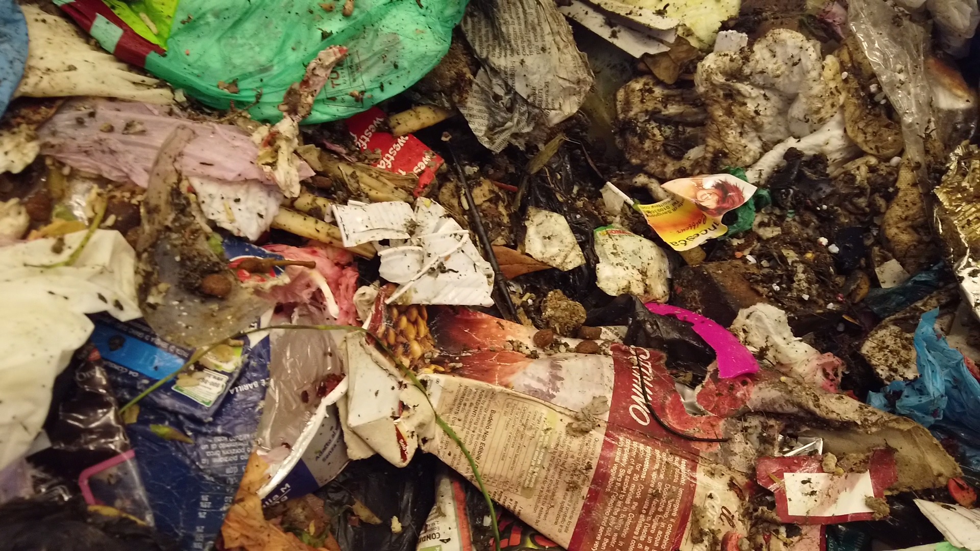 Genova, nel sacco della rumenta rifiuti organici ma anche carta e pannolini
