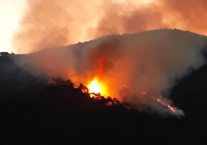 Incendiario denunciato da carabinieri forestali a Bordighera