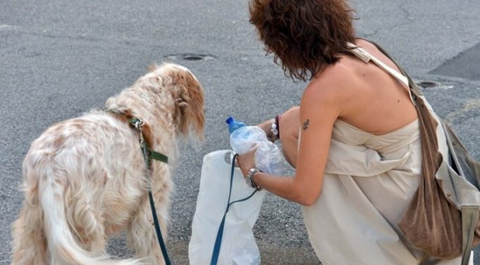 Genova, cambia il regolamento: bottiglietta obbligatoria per lavare la pipì dei cani