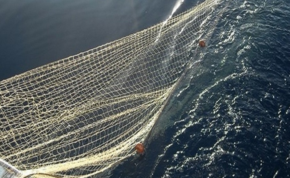 Sequestrati 2 chilometri e mezzo di rete illegale nel Santuario dei Cetacei