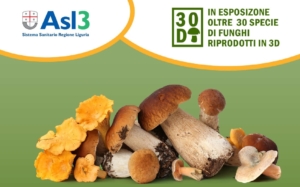 Asl3, esperti micologi in piazza per dare informazioni sui funghi